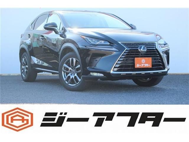 TOYOTA LEXUS NX300 2018