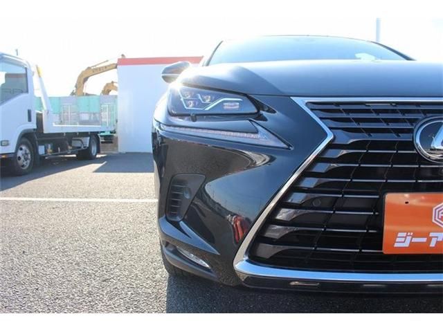 TOYOTA LEXUS NX300 2018