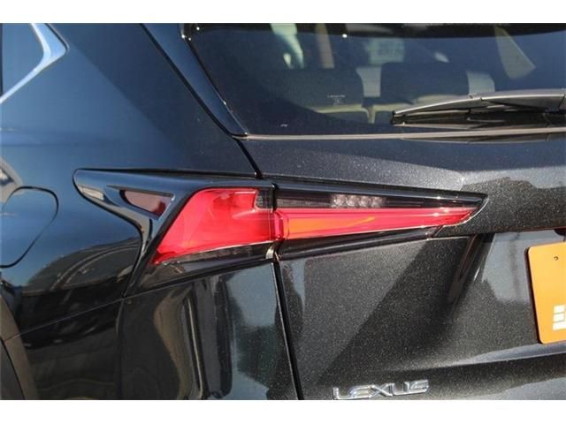 TOYOTA LEXUS NX300 2018