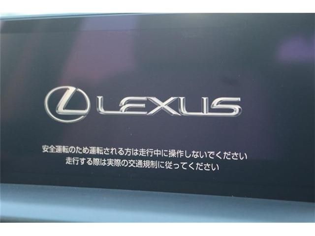 TOYOTA LEXUS NX300 2018