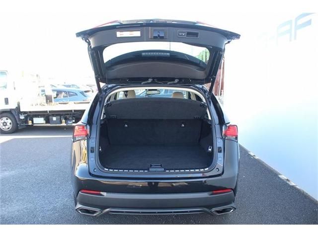 TOYOTA LEXUS NX300 2018