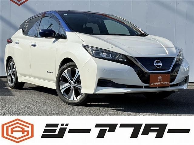 NISSAN LEAF 2018