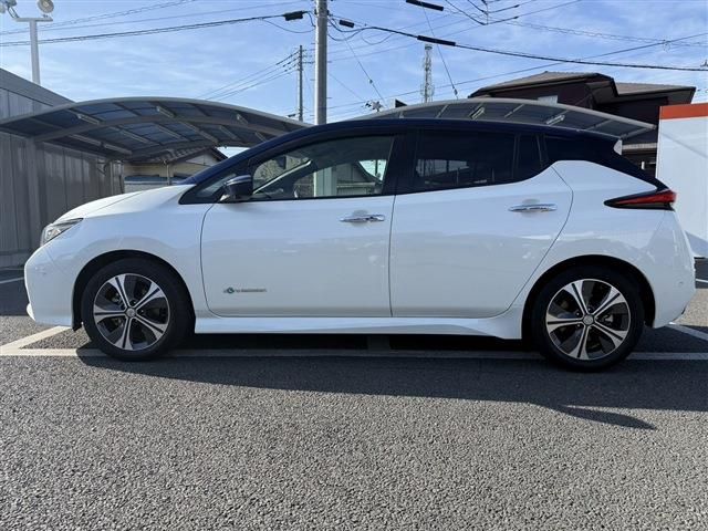 NISSAN LEAF 2018