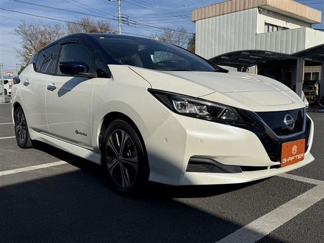 NISSAN LEAF 2018