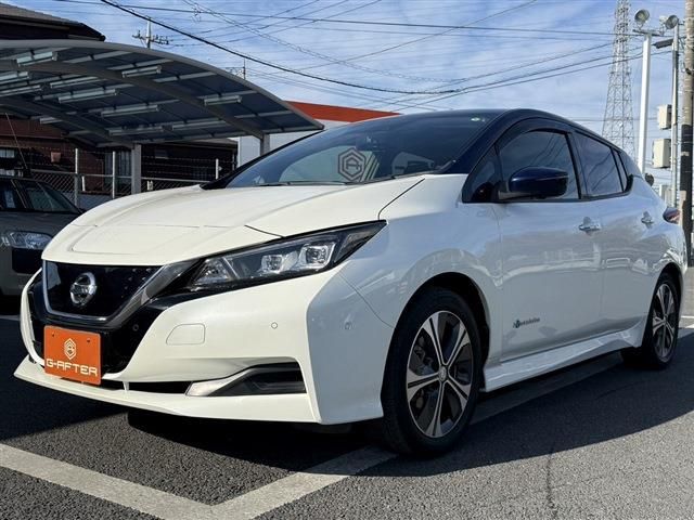 NISSAN LEAF 2018