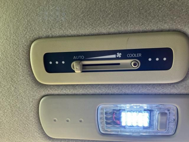 NISSAN SERENA  WG 2009