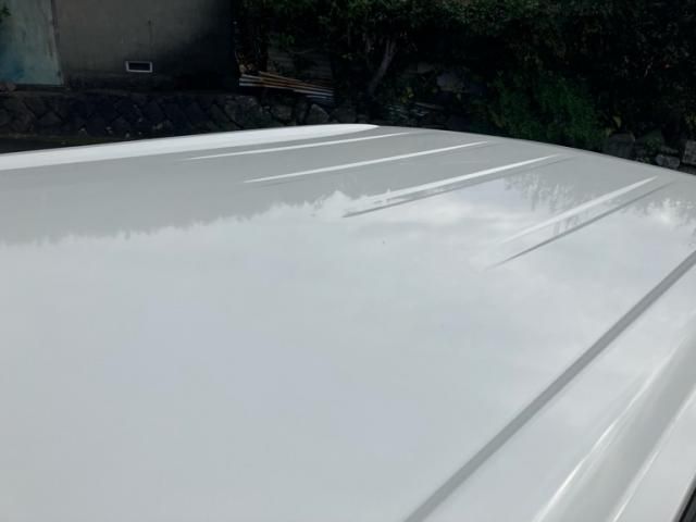 NISSAN SERENA  WG 2009