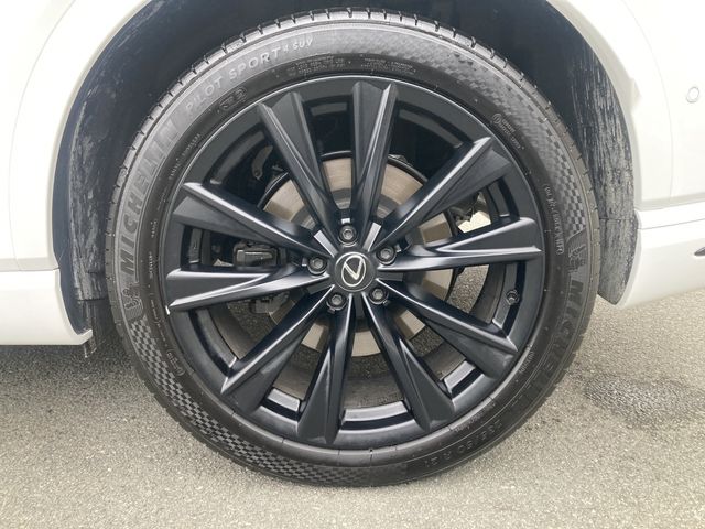 TOYOTA LEXUS RX500h 2024