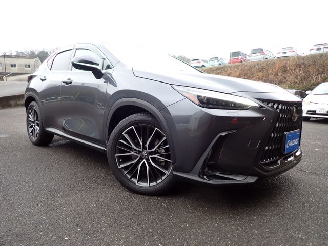 TOYOTA LEXUS NX250 2023