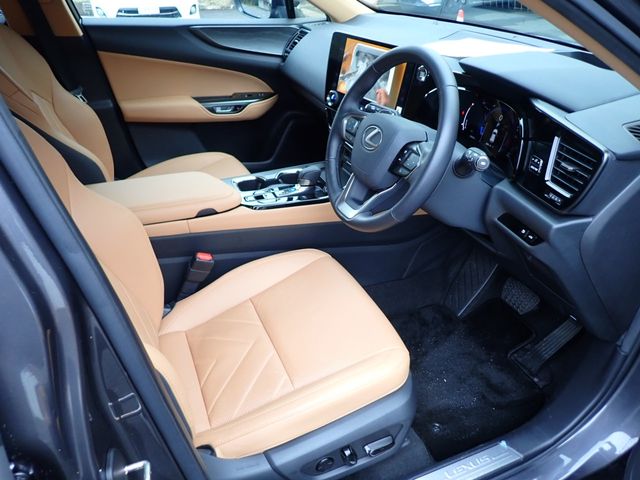 TOYOTA LEXUS NX250 2023