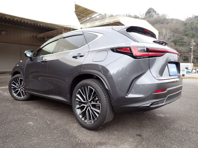 TOYOTA LEXUS NX250 2023