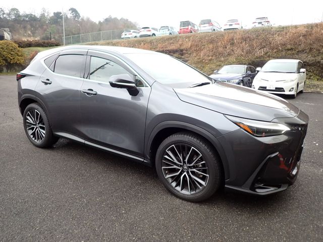 TOYOTA LEXUS NX250 2023