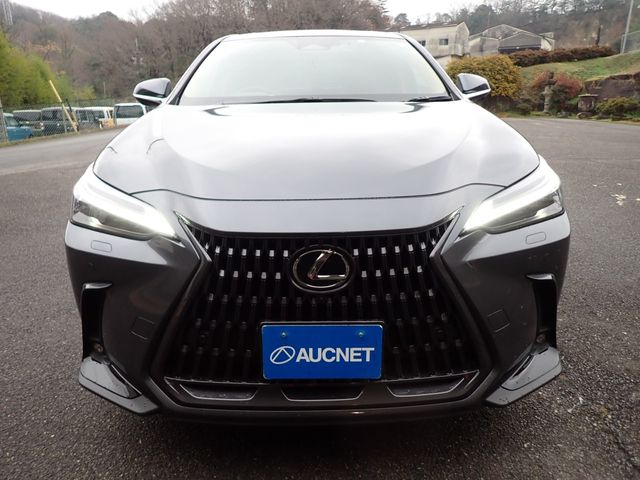TOYOTA LEXUS NX250 2023