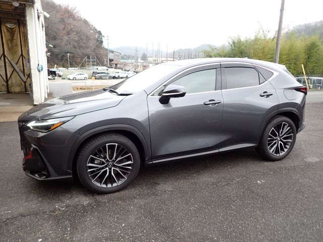 TOYOTA LEXUS NX250 2023