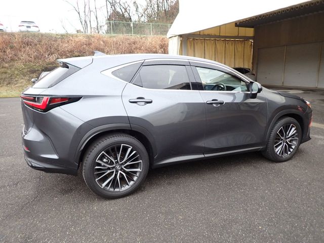 TOYOTA LEXUS NX250 2023