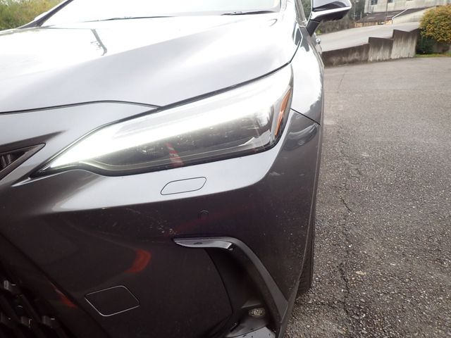 TOYOTA LEXUS NX250 2023