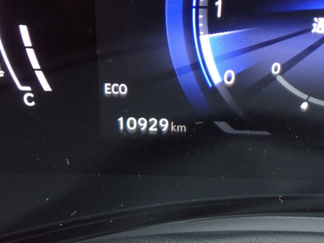 TOYOTA LEXUS NX250 2023