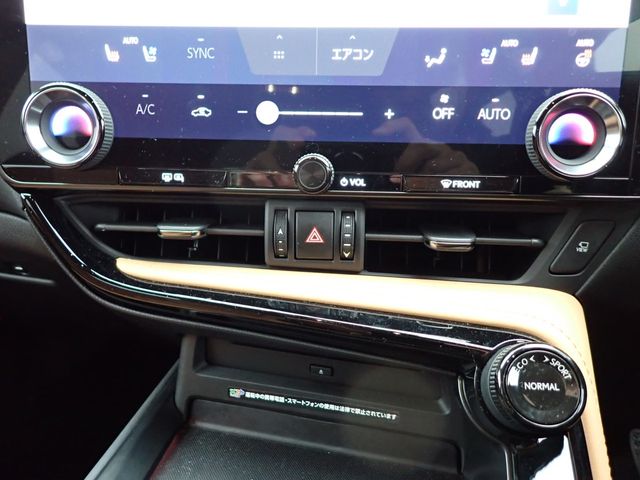 TOYOTA LEXUS NX250 2023