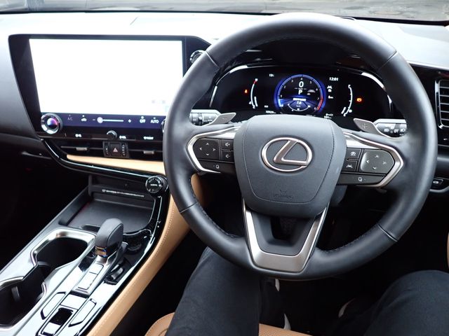 TOYOTA LEXUS NX250 2023