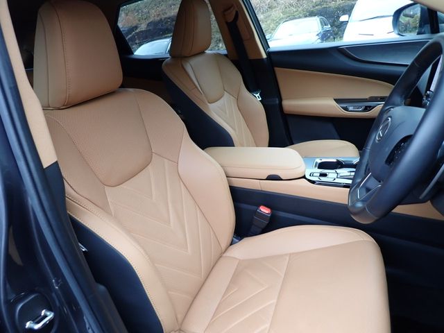 TOYOTA LEXUS NX250 2023