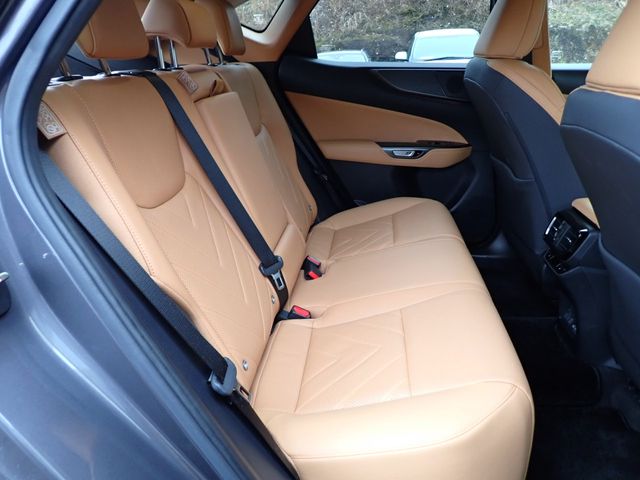 TOYOTA LEXUS NX250 2023