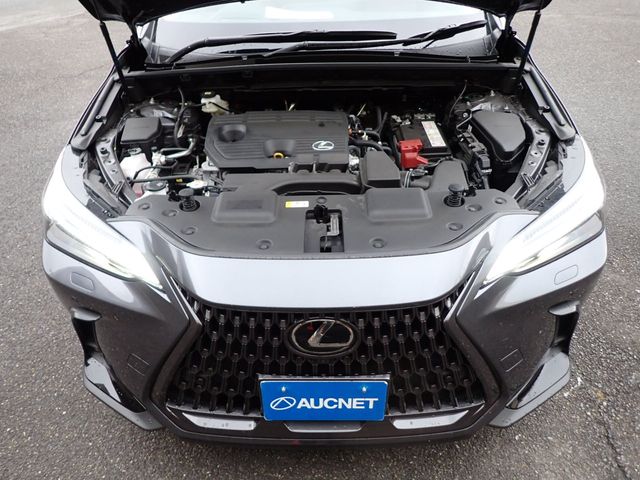 TOYOTA LEXUS NX250 2023
