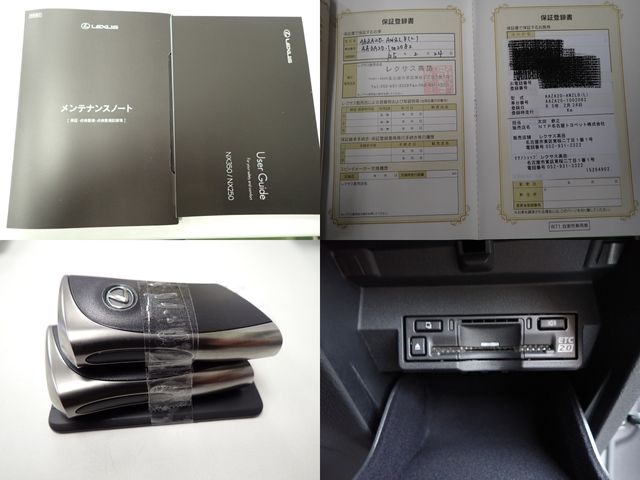 TOYOTA LEXUS NX250 2023