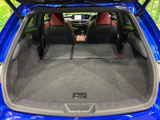 TOYOTA LEXUS UX250h AWD 2019