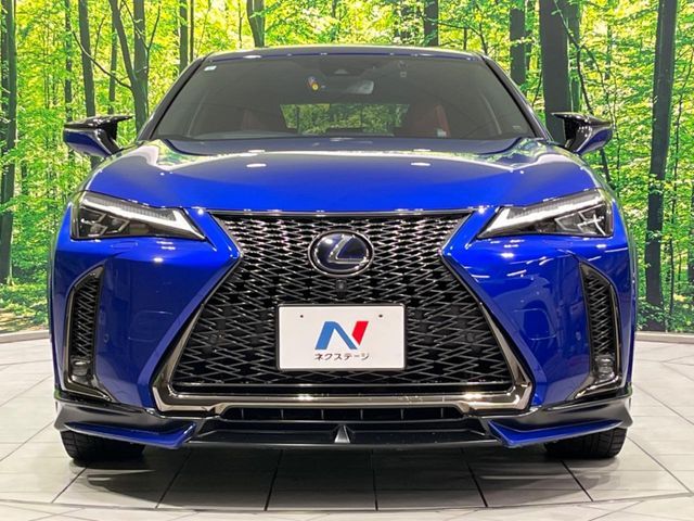 TOYOTA LEXUS UX250h AWD 2019