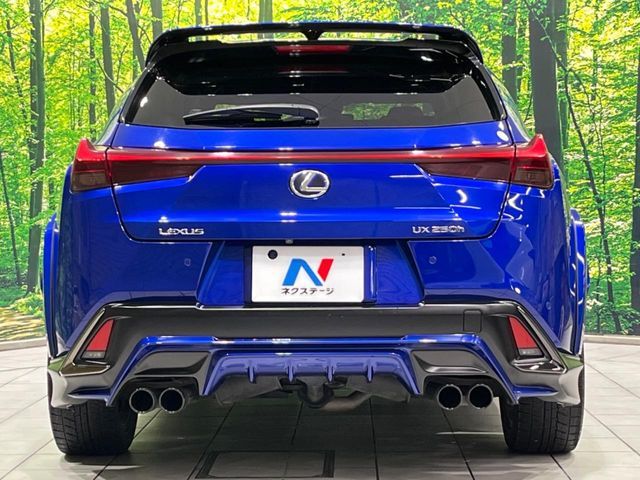 TOYOTA LEXUS UX250h AWD 2019