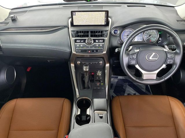 TOYOTA LEXUS NX300h 2019