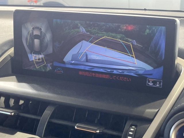 TOYOTA LEXUS NX300h 2019