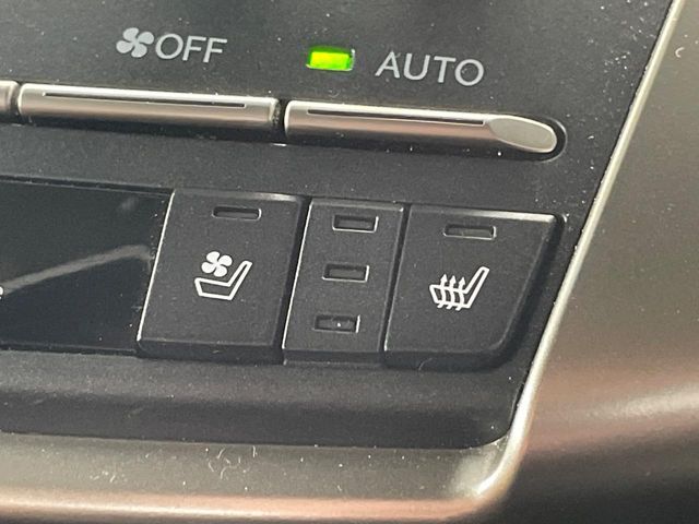 TOYOTA LEXUS NX300h 2019