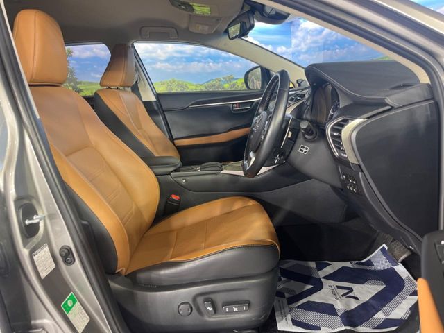 TOYOTA LEXUS NX300h 2019