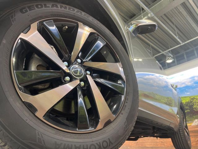 TOYOTA LEXUS NX300h 2019