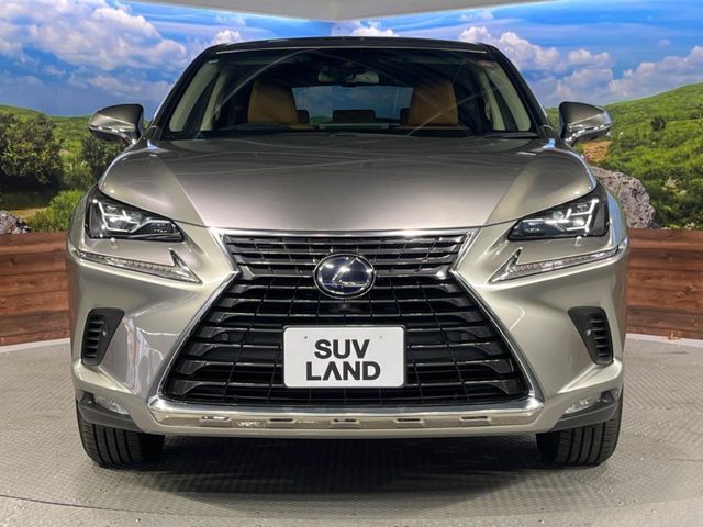 TOYOTA LEXUS NX300h 2019