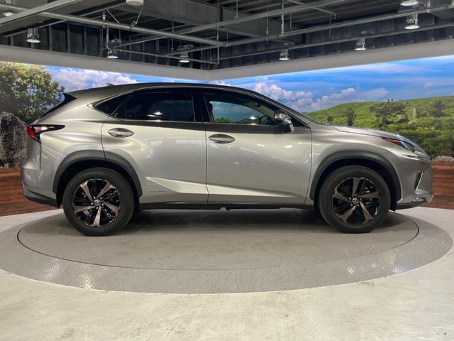 TOYOTA LEXUS NX300h 2019