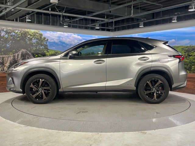 TOYOTA LEXUS NX300h 2019