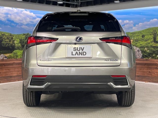 TOYOTA LEXUS NX300h 2019