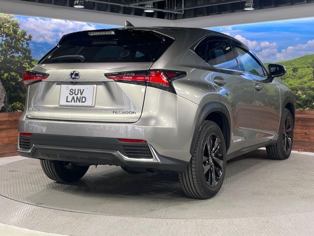 TOYOTA LEXUS NX300h 2019