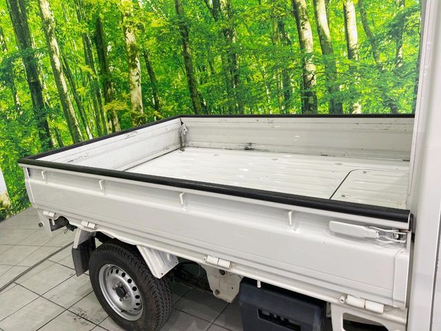 DAIHATSU HIJET truck 4WD 2020