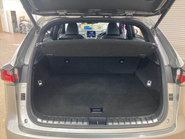 TOYOTA LEXUS NX300h 2015