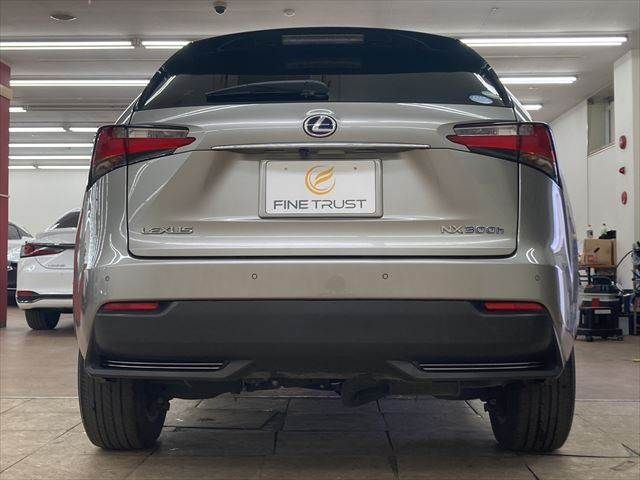 TOYOTA LEXUS NX300h 2015