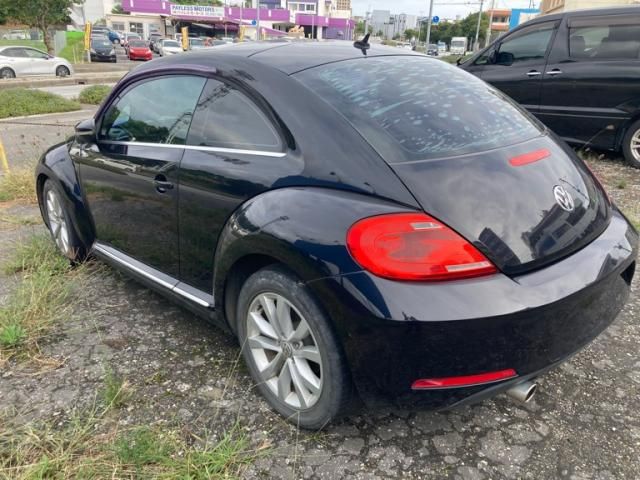 VOLKSWAGEN VOLKSWAGEN The BEETLE 2013