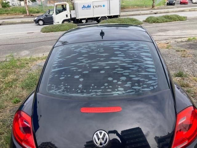 VOLKSWAGEN VOLKSWAGEN The BEETLE 2013