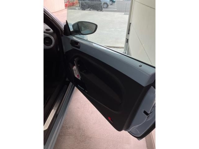 VOLKSWAGEN VOLKSWAGEN The BEETLE 2013