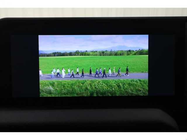 TOYOTA LANDCRUISER 250 2024