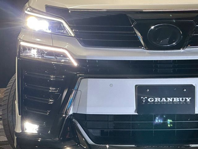 TOYOTA VELLFIRE 2019