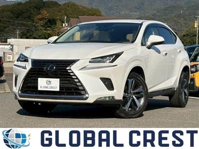 TOYOTA LEXUS NX300 2020