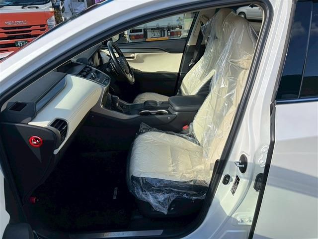 TOYOTA LEXUS NX300 2020